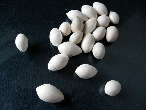 �׹��Ĺ�Ч ���������İ׹�ʳ�Ʒ��� www.027eat.com