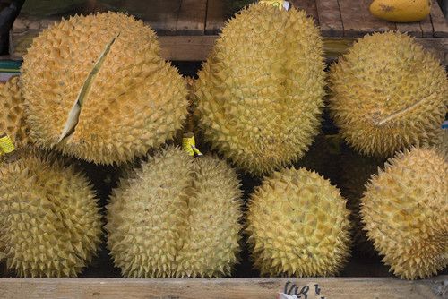 女人吃榴莲有什么好处 www.027eat.com