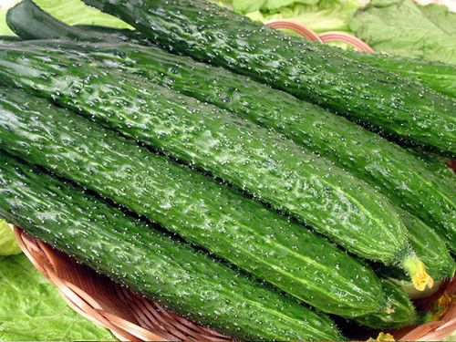 �ƹ���γ�  ɶ���Ļƹϲźó� www.027eat.com