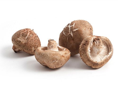 �㹽 �������ʳ���� www.027eat.com