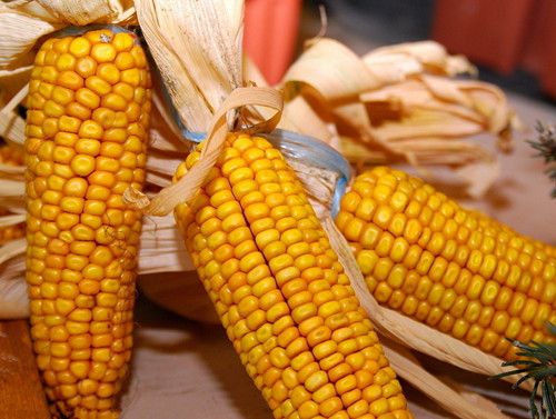 ���׿�˥�� ϸ��9�����湦Ч www.027eat.com