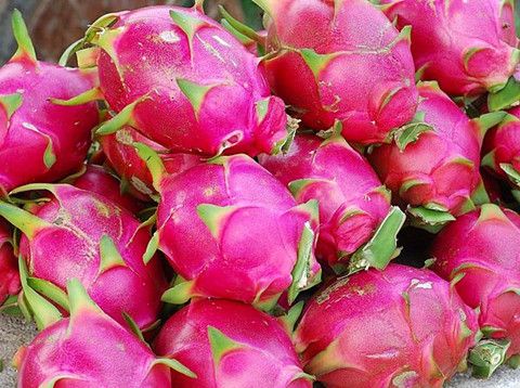 ��������Ч �Ի��������Ŷ��� www.027eat.com