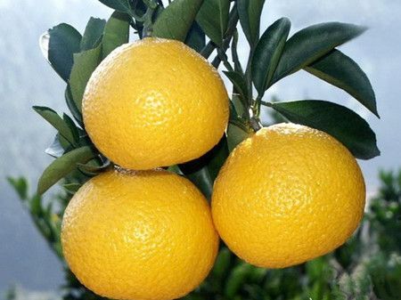 ���ӵİ˴�ʳ�Ʒ�����Ч www.027eat.com