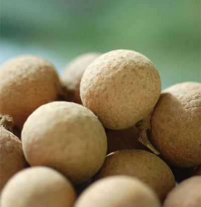 ��ʲô��˥�� ��ȷ�Թ�Բ���㿹˥�� www.027eat.com