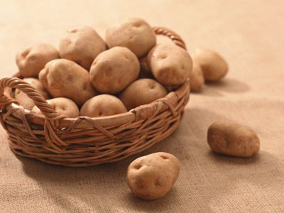 ����Ů��ע�� ����������Ĥ www.027eat.com