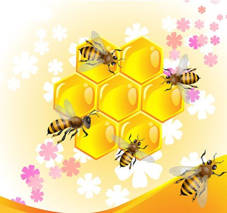 ���۶�Ů�˵�����ô� ���۵����� www.027eat.com