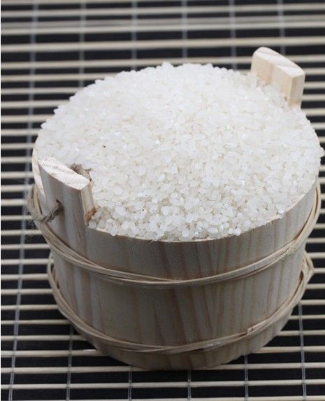 ���׵�ҩ�ü�ֵ www.027eat.com