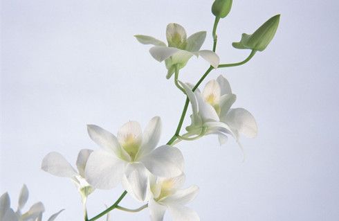 �ٺϵ�7��Ч www.027eat.com