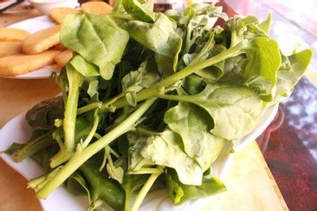 ���ͳ�ʲô ��Ϻ�貤�˵����� www.027eat.com