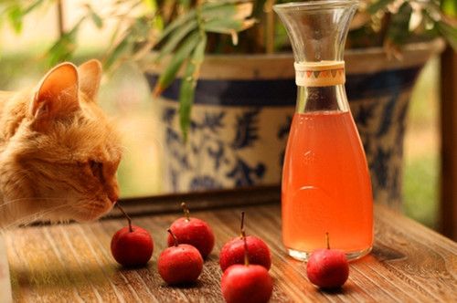 ������ˮ����ʳ��:10���±���ʳ�� www.027eat.com