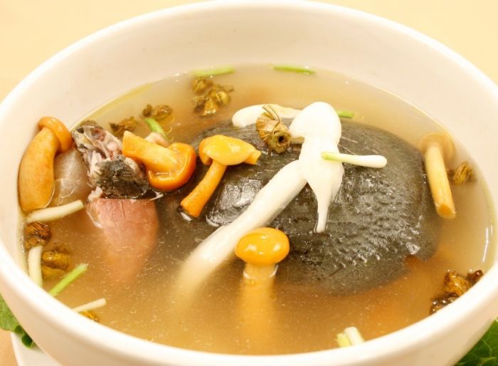 �������İ��Ʒ��� www.027eat.com