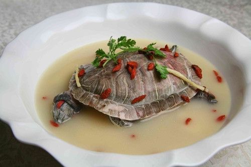 �������� ��������� www.027eat.com