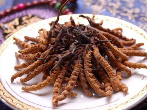 �������� ���������Ĳ��� www.027eat.com