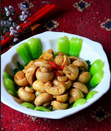 10��ѹ��ס����Ŀ����ز� www.027eat.com