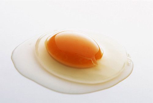 ��ʳ��һ�� ������Ӥ����ʳʳ�� www.027eat.com