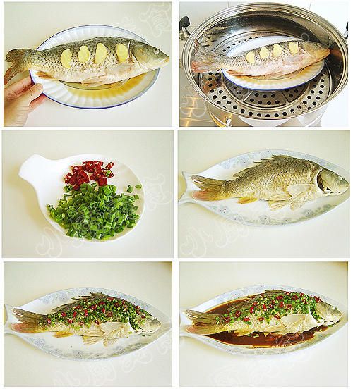 �ļ����˵�������ȫ �����̽�������ˬ www.027eat.com