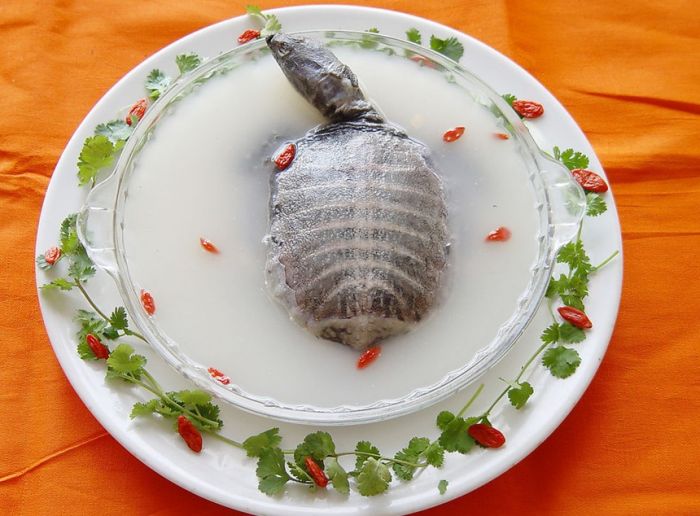 �����˱����� ��Ԫ�� www.027eat.com