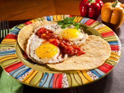 ��ο��ٵ�����Ӫ����� www.027eat.com