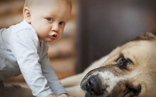 4���±���ʳ�ף���������4���±���ʳ�� www.027eat.com