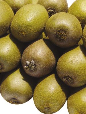 5��������ʳ�� �ʺ�ѧ�亢�ӵ����ʳ�� www.027eat.com