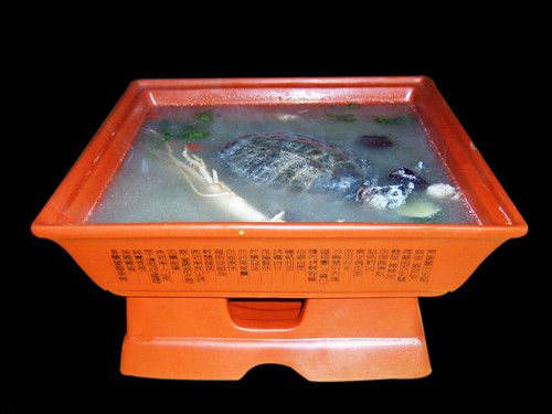 ������������ 4����������� www.027eat.com