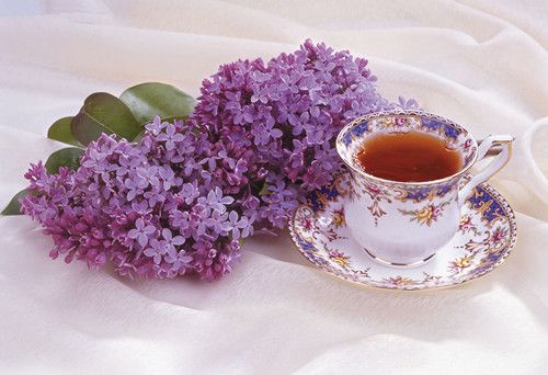 ����������÷��С��ƣ�� ��÷�������ý��� www.027eat.com