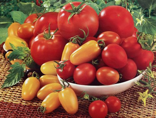 �＾�����ּ��ʵ�ʳ�� www.027eat.com