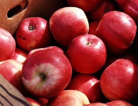 ƻ������3�������� 3����5�� www.027eat.com