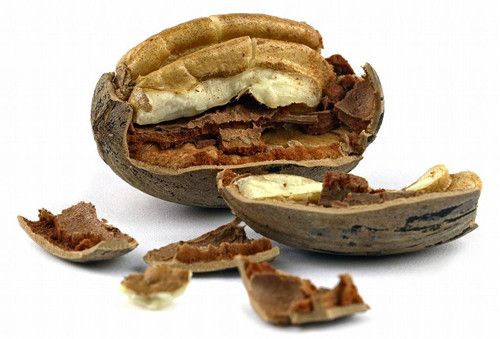 ���ԳԺ�����ʲô�ô� www.027eat.com