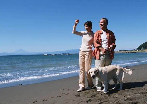 �������ѵ�����Ҫ������Щ www.027eat.com