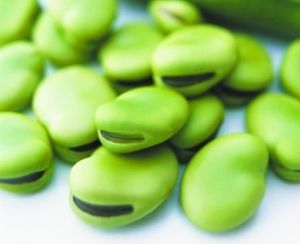 �������� ������10��ʳ�� www.027eat.com