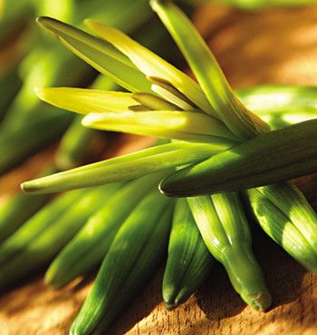 �������� ������10��ʳ�� www.027eat.com