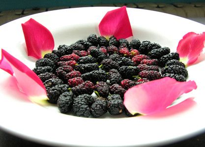 ���Ƴ����ֵĹؼ����� www.027eat.com