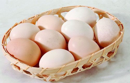 Сѩʱ���������������ɴ��� www.027eat.com