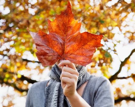 秋季养生要决 秋季吃什么食物排毒 www.027eat.com