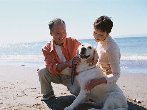 ���䳤�� ���������Ĵ���� www.027eat.com