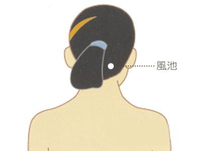 �������� ��ҽ6��ѭ�����ü��ʷ� www.027eat.com