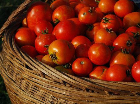 ��α��ⴺ�ڷ��ֺ���������� www.027eat.com