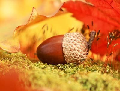 ����Ԥ������ 6���ؾ��ɽ��ͷ��� www.027eat.com