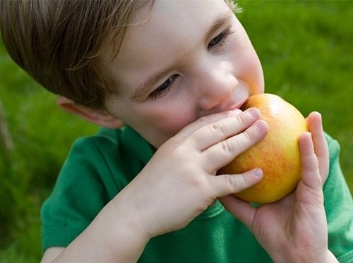 ������к��ƻ�� ������к���Գ�ƻ���� www.027eat.com