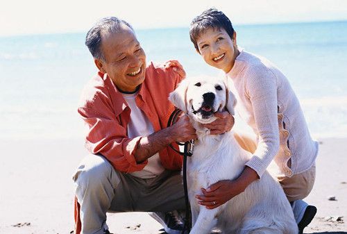 8����ʶ�ػ����˽��� www.027eat.com