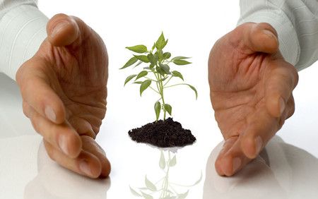 θ����Ч��Ԥ������ www.027eat.com