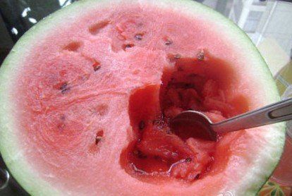 �ļ����������������ųԺ��� www.027eat.com