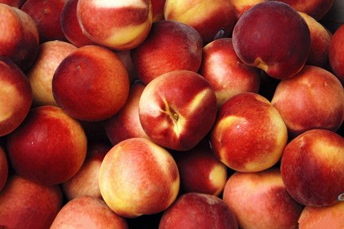 ��ͬ���ʵ�Ů����ν��ж��� www.027eat.com