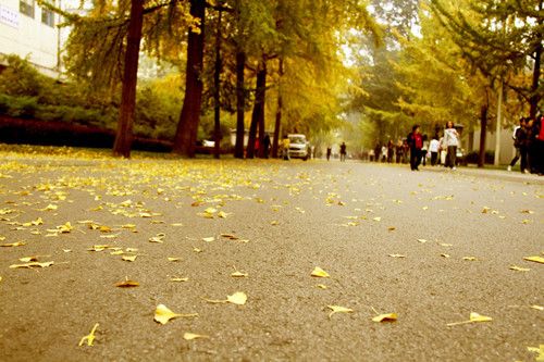 &lsquo;����֮��&rsquo;��α������� www.027eat.com