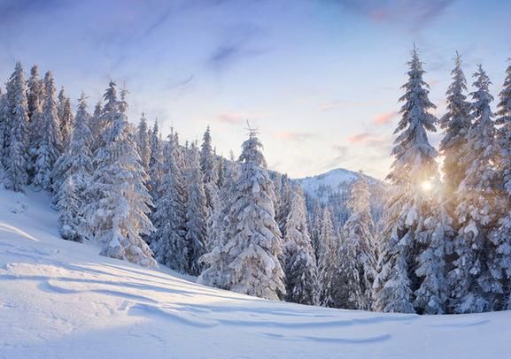 ����������������Ժ�ɫʳƷ www.027eat.com