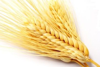 �������ܳ���ѿ�� www.027eat.com