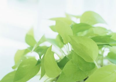 �ļ�����&ldquo;ʮ���&rdquo; www.027eat.com