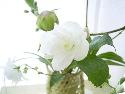 ������ʹ֪���� www.027eat.com