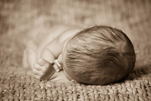 Ӥ������ ���������������������� www.027eat.com